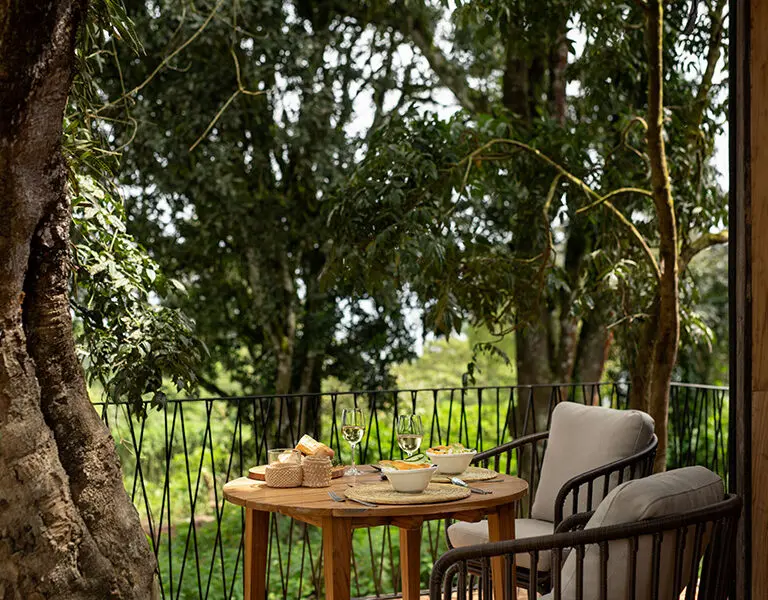 Tea on the viewing deck. 