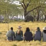 Safaris a pie en Kenia | Namiri Plains 