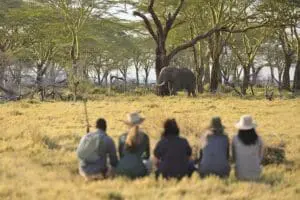 Safaris a pie en Kenia | Namiri Plains 
