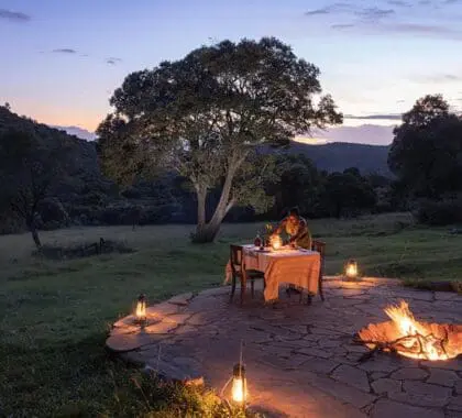 Una cena romantica allestita nella natura. 
