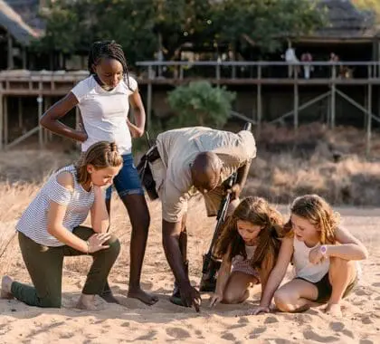 Oportunidades de aprendizaje en Thornybush Game Lodge. 