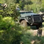 Spotting leopards while out on game drive is not uncommon at Sabi Sands.