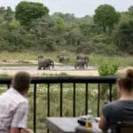 Elephants frequently visit the River Sands.