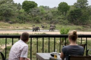 Elephants frequently visit the River Sands.