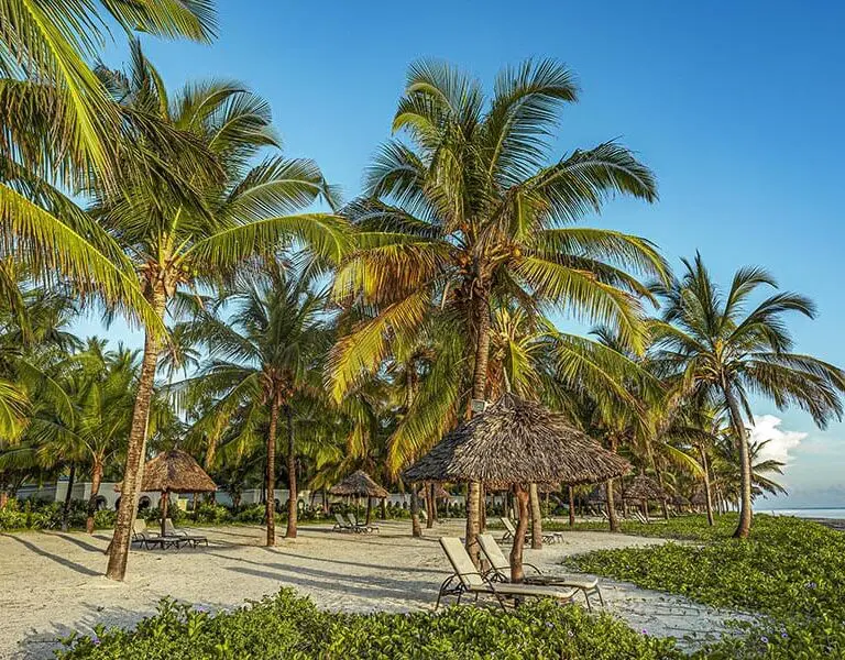 upper-beach-area