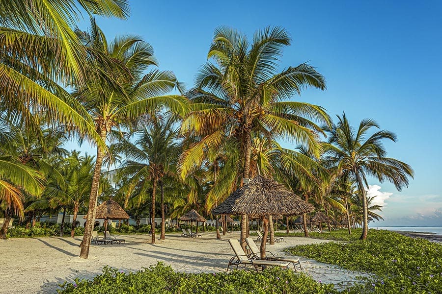 zona alta de la playa