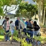 Embárquese en una visita guiada por los viñedos del hotel.