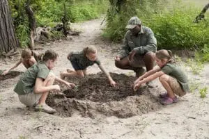 Los niños se lo pasan mejor en un safari, aprendiendo los entresijos del mundo natural. 