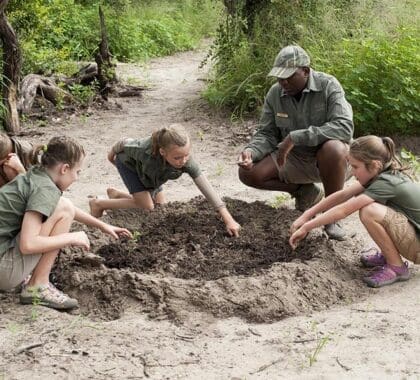 Los niños se lo pasan mejor en un safari, aprendiendo los entresijos del mundo natural. 