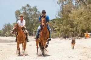 Horse-riding on powder-soft sands at Kinondo Kwetu. 