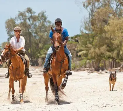 Paseos a caballo por las arenas de Kinondo Kwetu. 