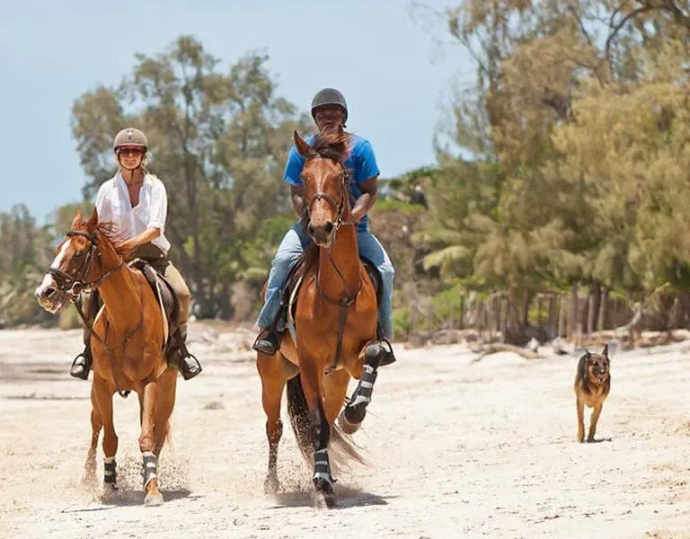 Horse-riding on powder-soft sands at Kinondo Kwetu. 