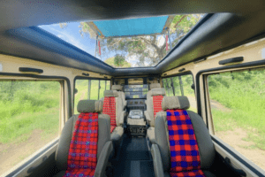 All-weather game vehicles allows for exciting wildlife sightings during the rainy seasons. 