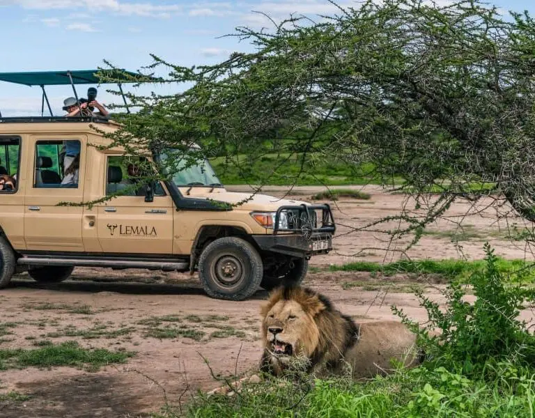 Spot the Big 5 while out on a game drive | Lemala Osonjoi Lodge