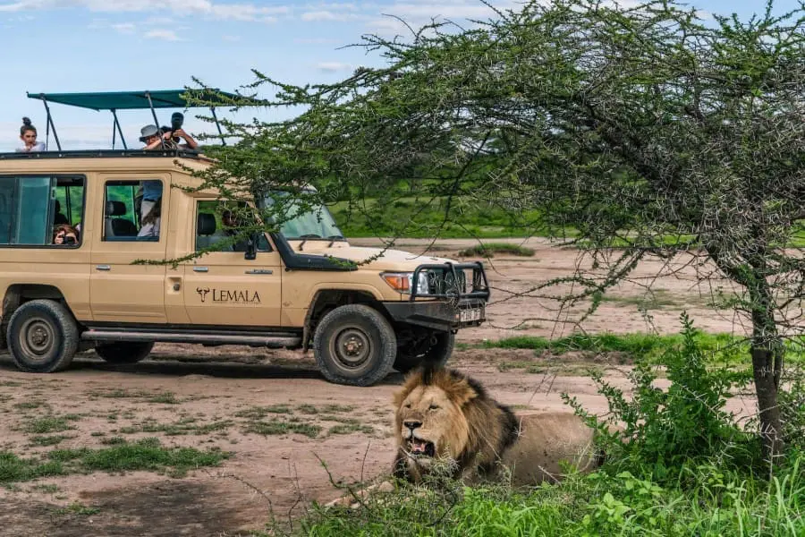 Descubra los 5 Grandes durante un safari | Lemala Osonjoi Lodge