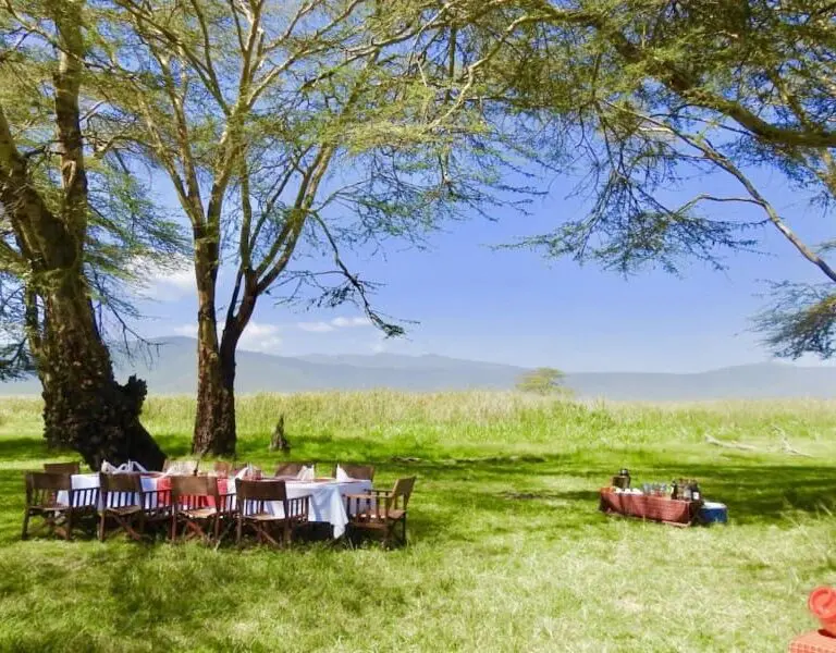 A picturesuqe family lunch awaits, on the floor of the Ngorongoro Crater.