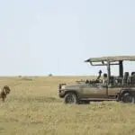 You'll experience regular game drives at the camp, all in the expert hands of passionate rangers. 