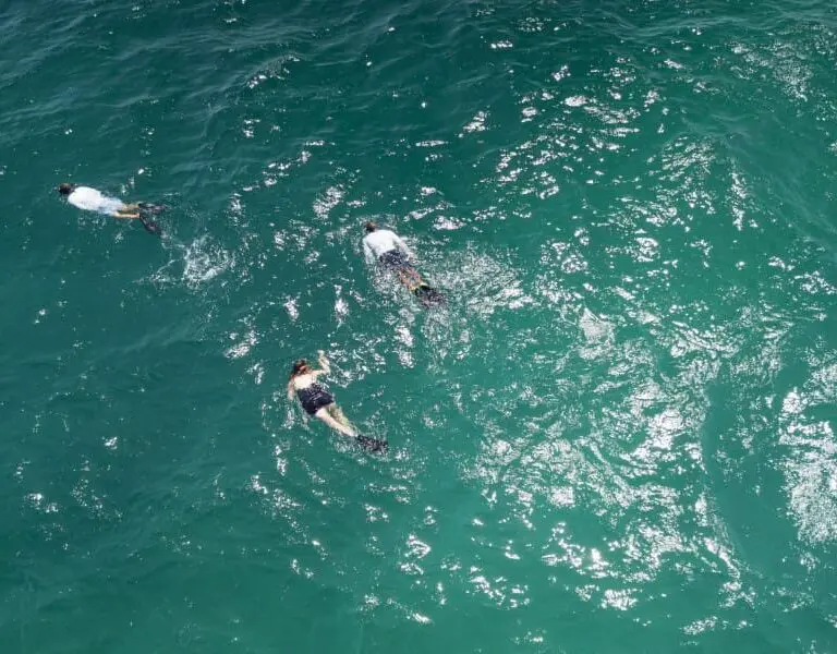 Snorkel along the renowned 2-mile reef.