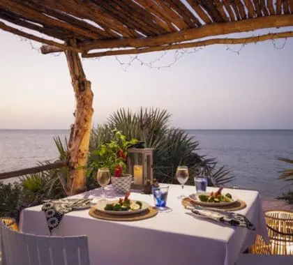 A tropical restaurant dining experience awaits.