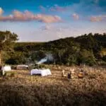 Experience bush dining in the Borana Conservancy.