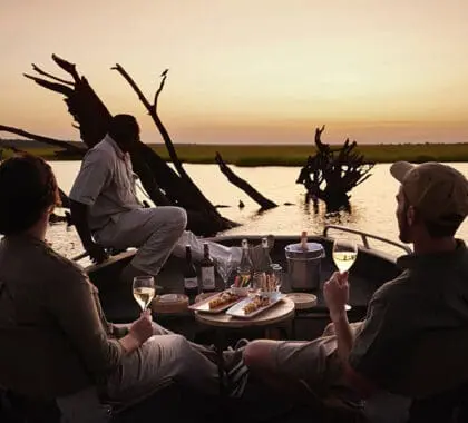 Cruceros al atardecer por el río Chobe en el Sanctuary Chobe Chilwero Lodge.