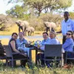 Indulge in a bush lunch as wildlife pass you by.