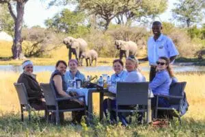 Indulge in a bush lunch as wildlife pass you by.