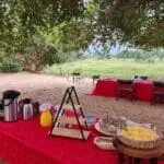 Disfrute de un picnic en la sabana.