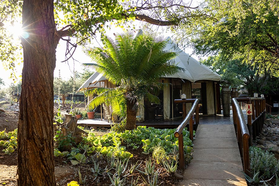 chisomo-safari-camp-karongwe-luxury-tent