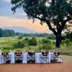 Sip on tasty gins and fine wines with views of the reserve and passing wildlife.