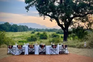 Sip on tasty gins and fine wines with views of the reserve and passing wildlife.