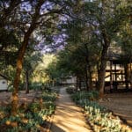 Camp walkways.