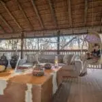 Acurrúquese en el salón con un libro informativo sobre la vida salvaje.