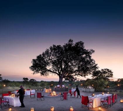 A boma dinner at Chitwa Chitwa.
