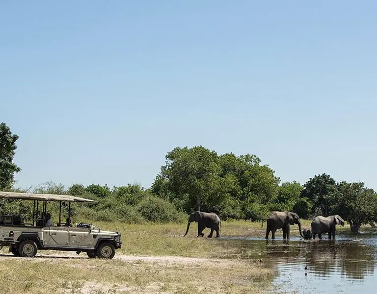 chobe-cgl-jun18-drive-24