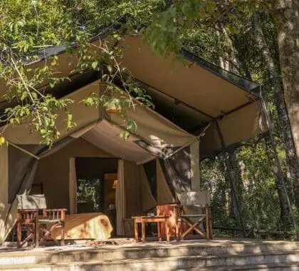 A truly wild experience. 