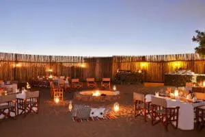 Dine on delicious meals in the boma.