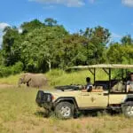 Game drives in the Kruger National Park.
