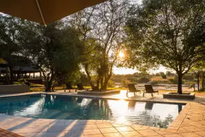 Escápese del calor africano en la piscina.