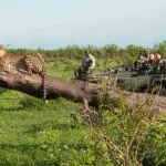 The Sabi Sands Private Game Reserve in the greater Kruger is renowned for exceptional game viewing.