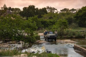 Disfrute de las vistas de Kruger en los safaris.