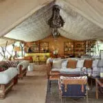 Beautiful interiors | LABA Migration Camp
