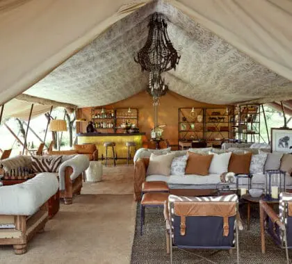 Beautiful interiors | LABA Migration Camp