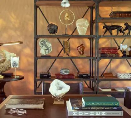 Interior curios | LABA Migration Camp