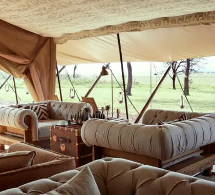 Main lounge views | LABA Migration Camp