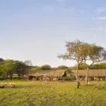 Views of the camp | LABA Migration Camp