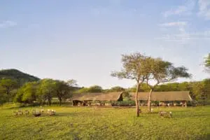 Views of the camp | LABA Migration Camp