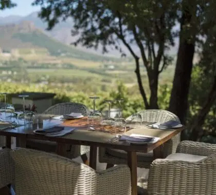 Desfrute de almoços no pátio com vistas para as Montanhas Boland.