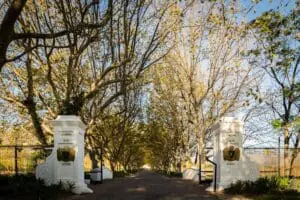 The entrance is lined with majestic oak trees creating a timeless ambiance. 