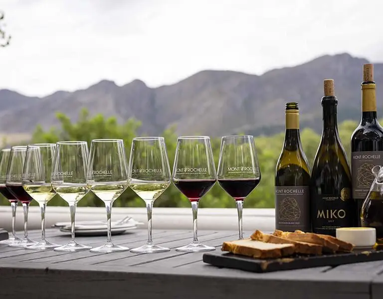 mont-rochelle-wine-tasting